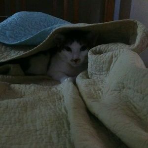 Meet your Posher, Melissa